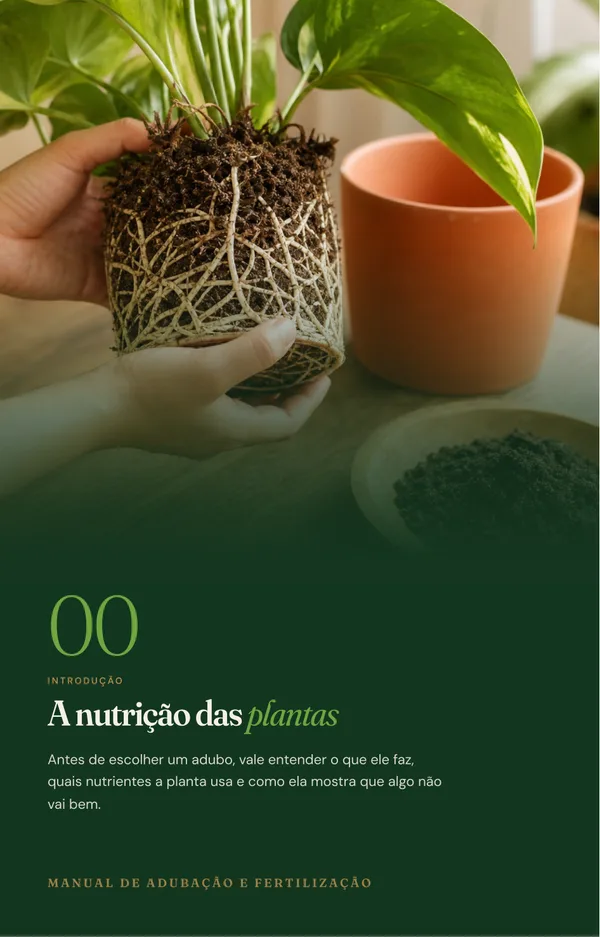 Abertura da introdução do ebook: A nutrição das plantas