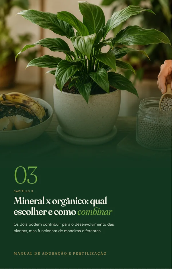 Abertura do capítulo 3 do ebook: Mineral x orgânico