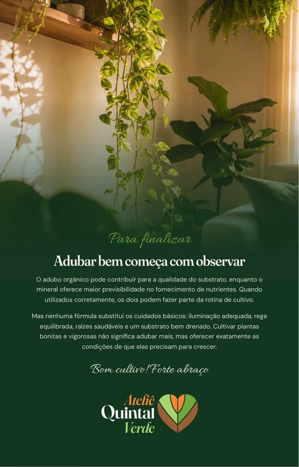 Página final do ebook: Adubar bem começa com observar