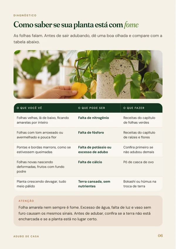 Página do ebook sobre como saber se a planta está com fome