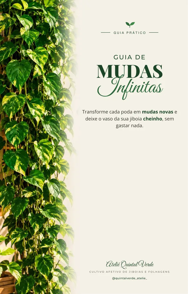 Capa do Guia de Mudas Infinitas