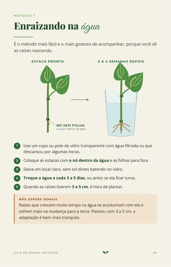 Página do guia sobre enraizar na água