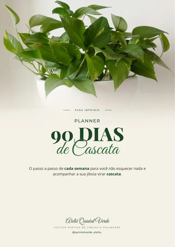 Capa do Planner 90 Dias de Cascata