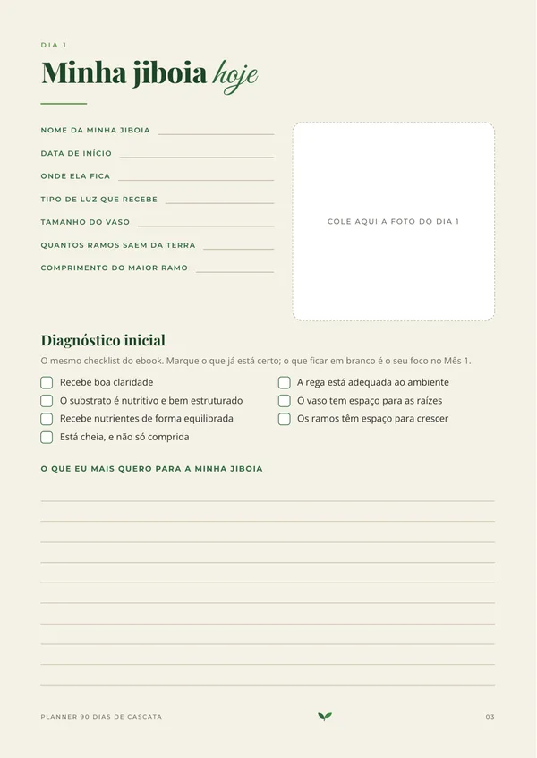Página do planner com a ficha "Minha jiboia hoje"