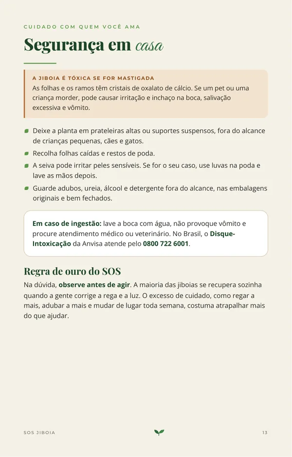 Página do guia sobre segurança para pets e crianças