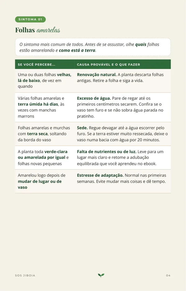 Página do guia sobre folhas amarelas, com causas e soluções
