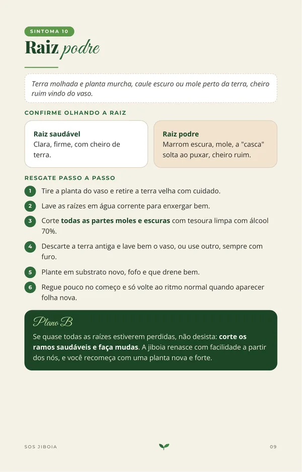Página do guia com o resgate de raiz podre passo a passo